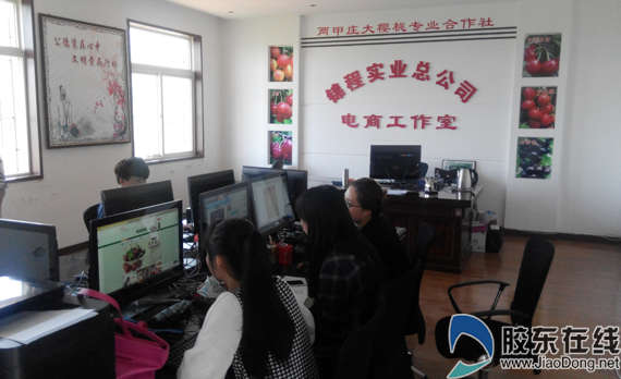 烟台大樱桃村借力&ldquo;互联网+&rdquo;逐梦电商(图)_山东频道_凤凰网